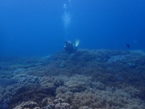 2021.06.01　砂辺ビーチ　ファンダイビング