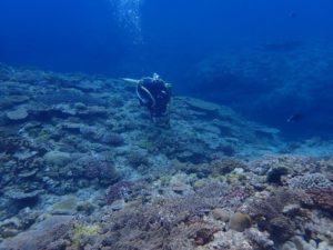 2021.06.11　万座ボート　ファンダイビング