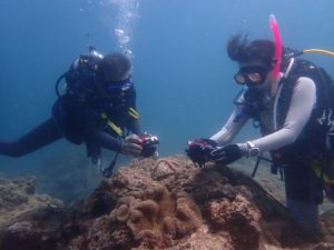 2021.06.12　砂辺ビーチ　ファンダイビング