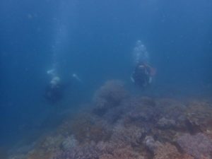 2021.06.12　砂辺ビーチ　ファンダイビング