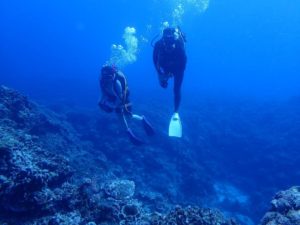 2021.06.13　慶良間ボート　ファンダイビング