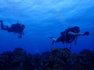 2021.06.14　粟国遠征ボート　ファンダイビング