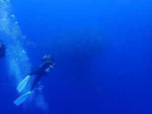 2021.06.14　粟国遠征ボート　ファンダイビング