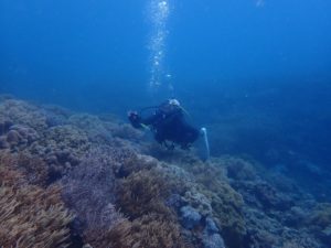 2021.10.09　砂辺ビーチ　ファンダイビング