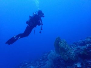 2021.11.06　慶良間ボート　ファンダイビング