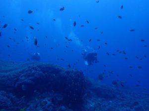 2021.11.08　慶良間ボート　ファンダイビング