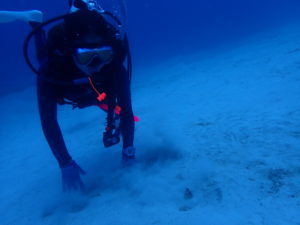 http://www.kaifu-divers.com/wp-content/uploads/2022/05/P5010010-scaled.jpg