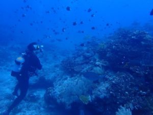 2022.06.02　慶良間ボート　ファンダイビング