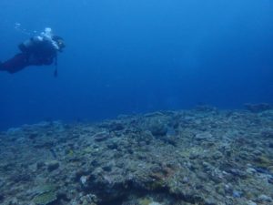 2022.06.03　万座ボート　ファンダイビング