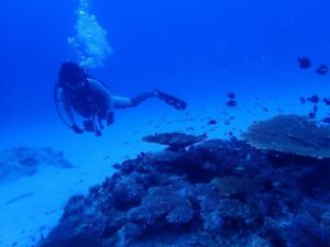 2022.07.01　慶良間ボート　ファンダイビング