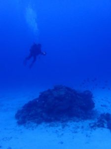 2022.07.01　慶良間ボート　ファンダイビング