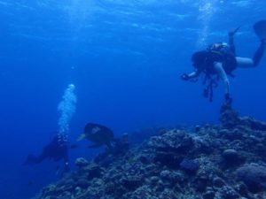 2022.07.01　慶良間ボート　ファンダイビング