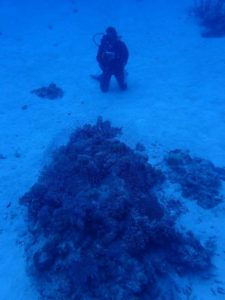 2022.07.02　慶良間ボート　ファンダイビング