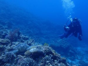 2022.07.02　慶良間ボート　ファンダイビング