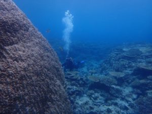 2022.07.02　慶良間ボート　ファンダイビング