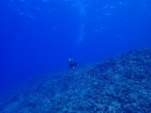 2022.07.11　慶良間ボート　ファンダイビング