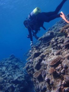 2022.07.11　慶良間ボート　ファンダイビング