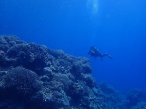 2022.07.11　慶良間ボート　ファンダイビング