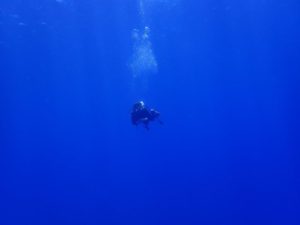 2022.07.11　慶良間ボート　ファンダイビング