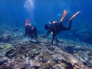 2022.08.09　慶良間ボート　ファンダイビング