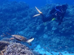 2022.08.10　慶良間ボート　ファンダイビング