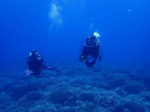2022.08.10　慶良間ボート　ファンダイビング
