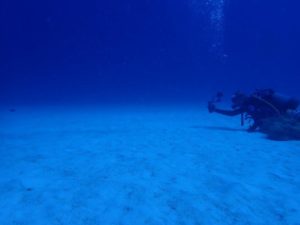 2022.08.11　慶良間ボート　ファンダイビング