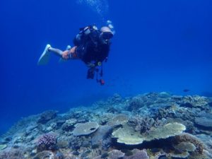 2022.08.11　慶良間ボート　ファンダイビング