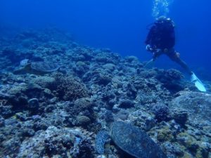 2022.08.11　慶良間ボート　ファンダイビング