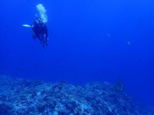 2022.08.12　慶良間ボート　ファンダイビング