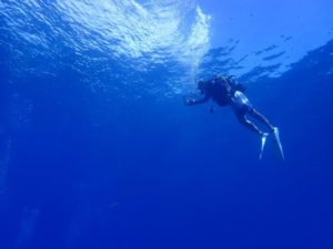 2022.08.12　慶良間ボート　ファンダイビング