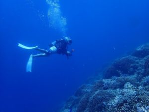 2022.08.12　慶良間ボート　ファンダイビング