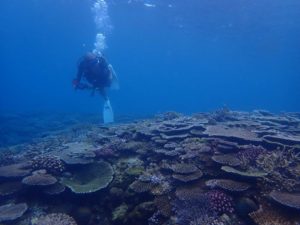 2022.08.13　万座ボート　ファンダイビング