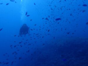 2022.09.10　慶良間ボート　ファンダイビング