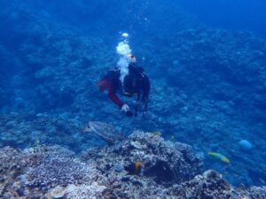 2022.09.10　慶良間ボート　ファンダイビング