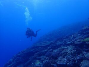 2023.07.07　万座ボート　ファンダイビング