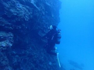 2023.12.04　砂辺ビーチ　ファンダイビング