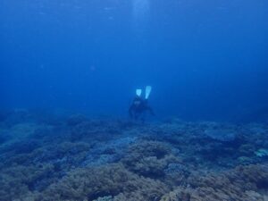 2023.12.04　砂辺ビーチ　ファンダイビング