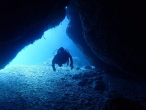 2023.12.06　慶良間ボート　ファンダイビング