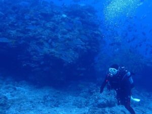 2023.12.06　慶良間ボート　ファンダイビング