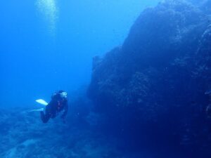 2023.12.07　大浦湾ボート　ファンダイビング