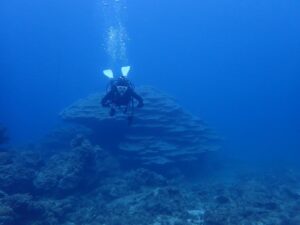 2023.12.07　大浦湾ボート　ファンダイビング