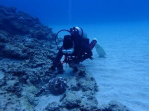 2023.12.07　大浦湾ボート　ファンダイビング