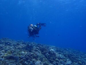 2024.07.01　慶良間ボート　ファンダイビング