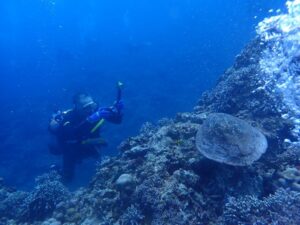 2024.07.01　慶良間ボート　ファンダイビング