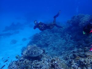 2024.07.02　慶良間ボート　ファンダイビング