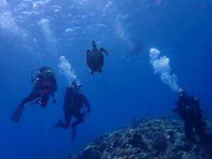 2024.07.02　慶良間ボート　ファンダイビング