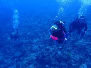 2024.07.02　慶良間ボート　ファンダイビング