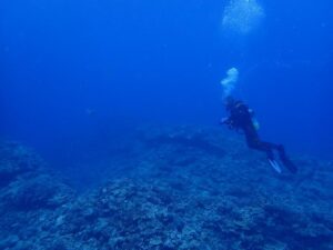 2024.07.04　慶良間ボート　ファンダイビング