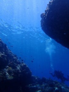 2024.07.05　慶良間ボート　ファンダイビング